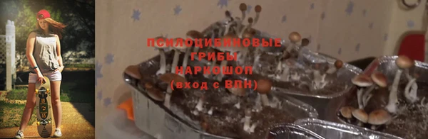 марки nbome Арсеньев