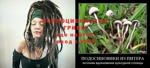марки nbome Арсеньев