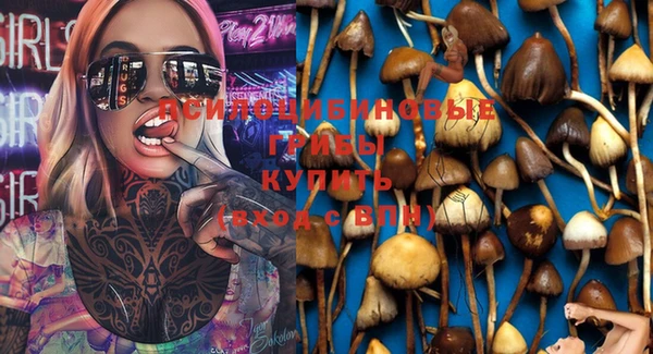 ECSTASY Баксан