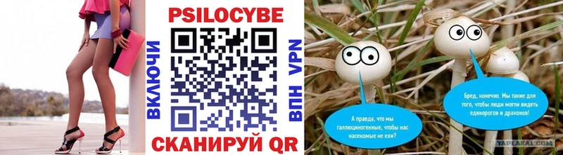 гидра ССЫЛКА Аркадак Псилоцибиновые грибы мицелий как найти закладки